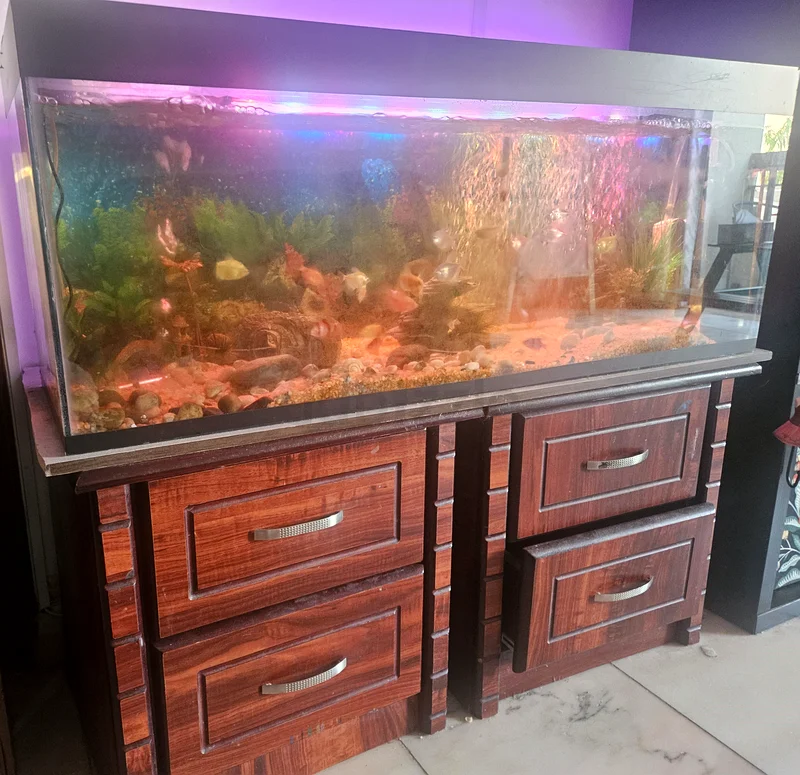 حوض سمك (بطول متر واحد) مع أسماك وإكسسوارات.63172681548801112