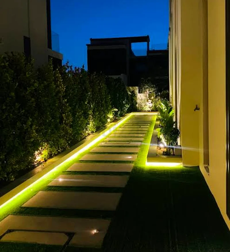 ممر حديقة مذهل مع أضواء مضيئة63220322024962113