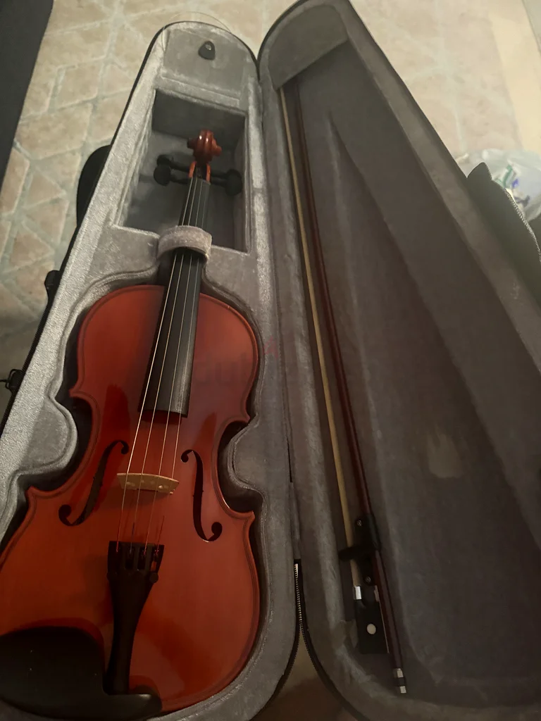 Violin 3/463229681598467113