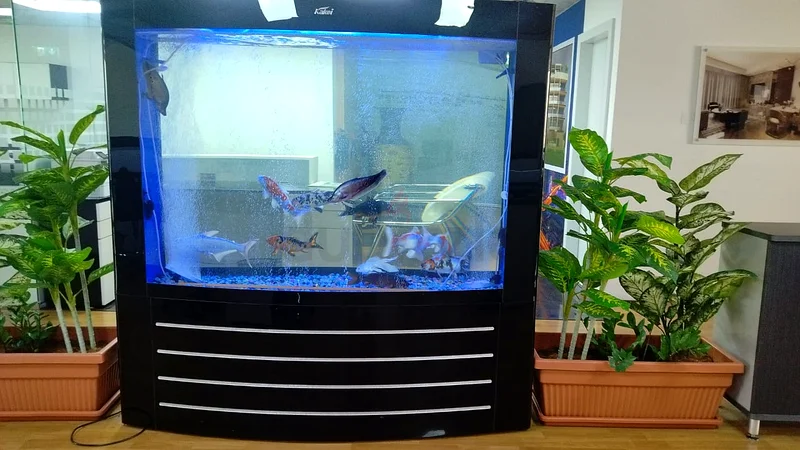 MINI AQUARIUM FOR VILLAS AND OFFICES63174797941379111