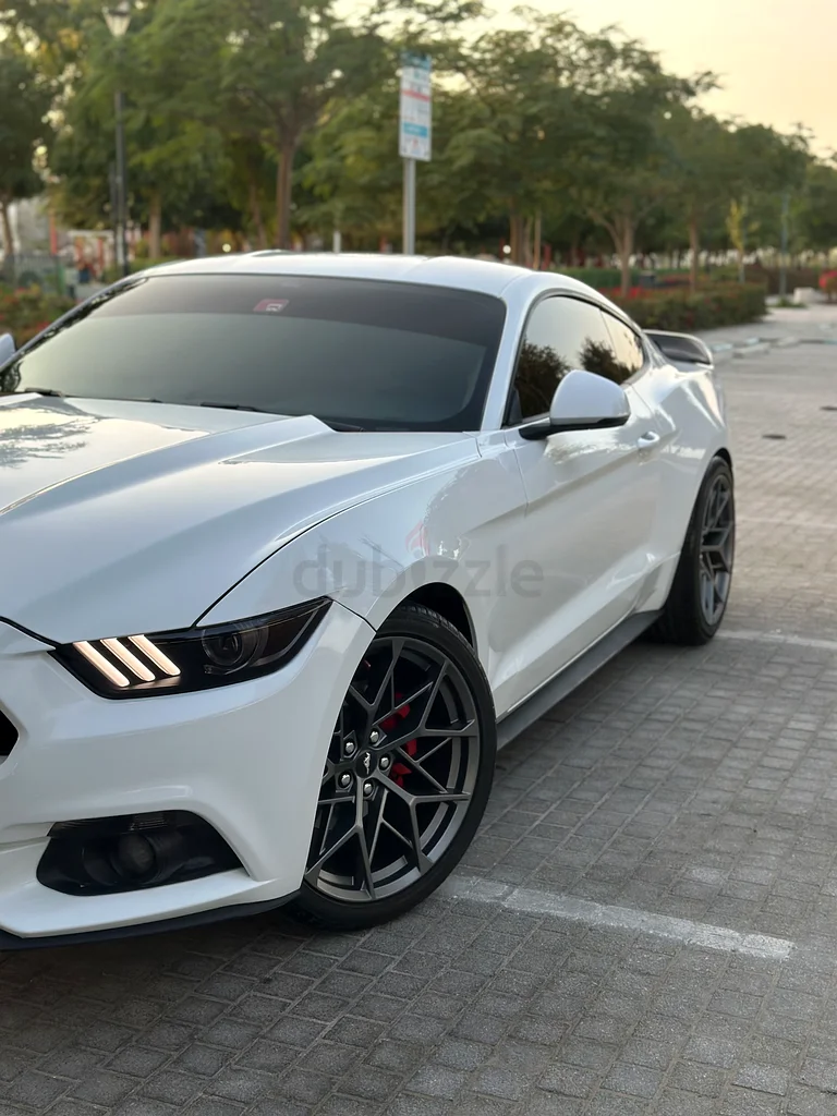 Mustang V6 2017 GCC63167557716609112