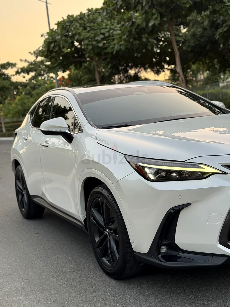 لكزس NX350h نظيفة 2024 | هجينة | تم صيانتها جيدًا | لا حوادث | مواصفات دول مجلس التعاون الخليجي63149580021761111