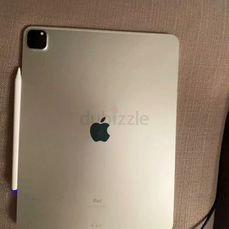 iPad Pro 12.9 silver 256GB63215378541955112
