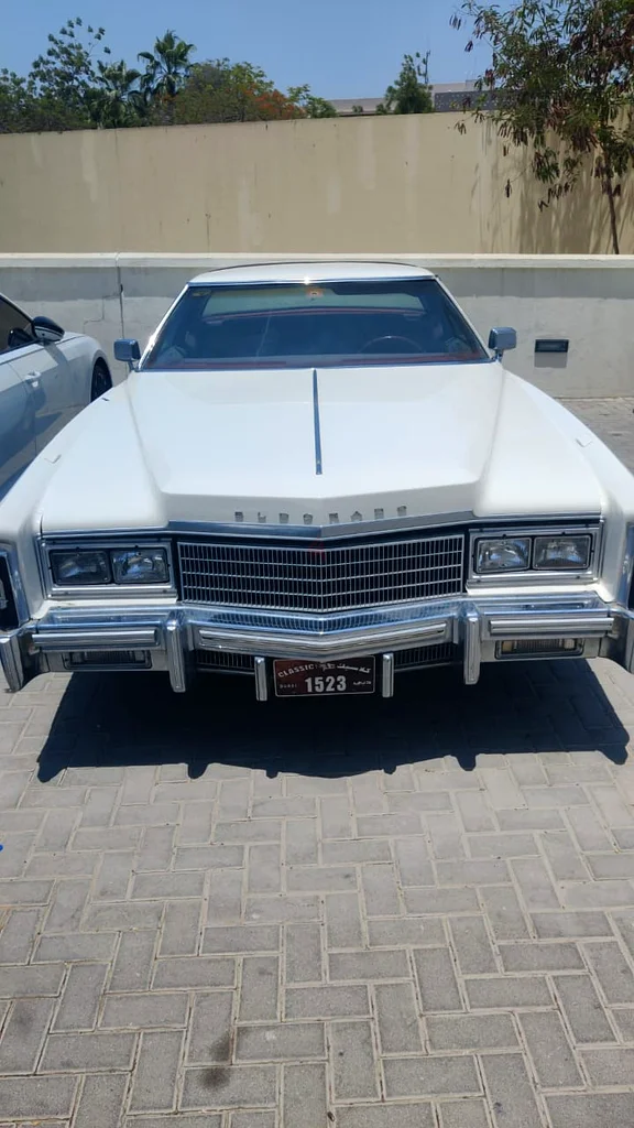 CADILLAC ELDORADO 197763140196752515110