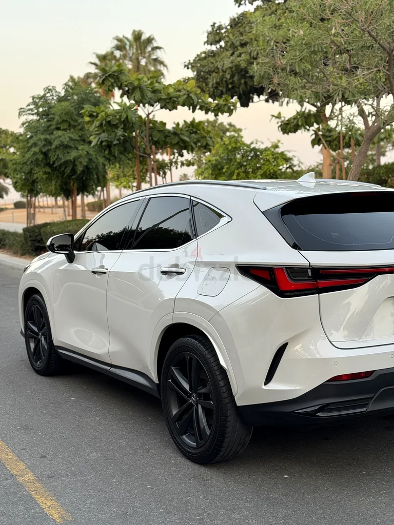 لكزس NX350h نظيفة 2024 | هجينة | تم صيانتها جيدًا | لا حوادث | مواصفات دول مجلس التعاون الخليجي63149580021761112