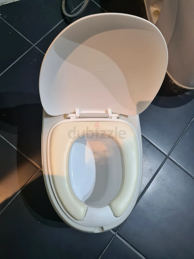Potty training toilet63230185303426114
