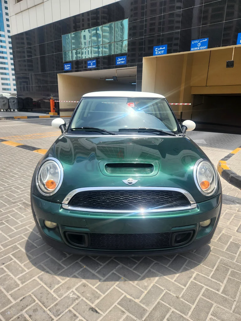 MINI COOPER S 2013 Ladies Driven63139218875394111