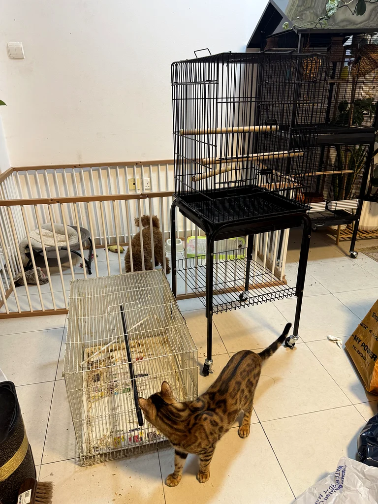 BIRD CAGE ONCE USED  FREE 1 SMALL CAGE63233131647746111
