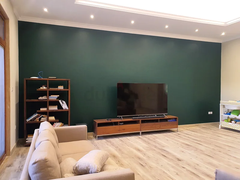 Painting Services63216842211585113