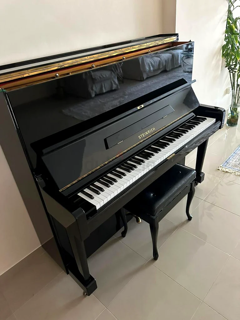 Upright Piano for Sale – Steinrich Brand63205354747778114