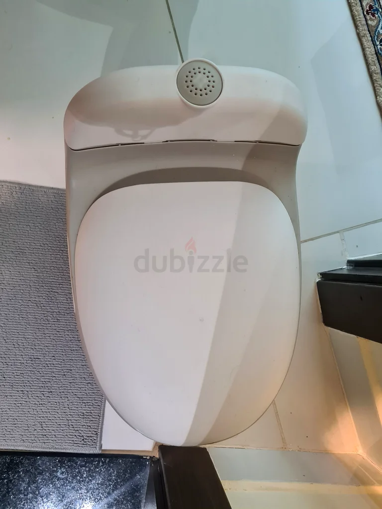 Potty training toilet63230185303426112