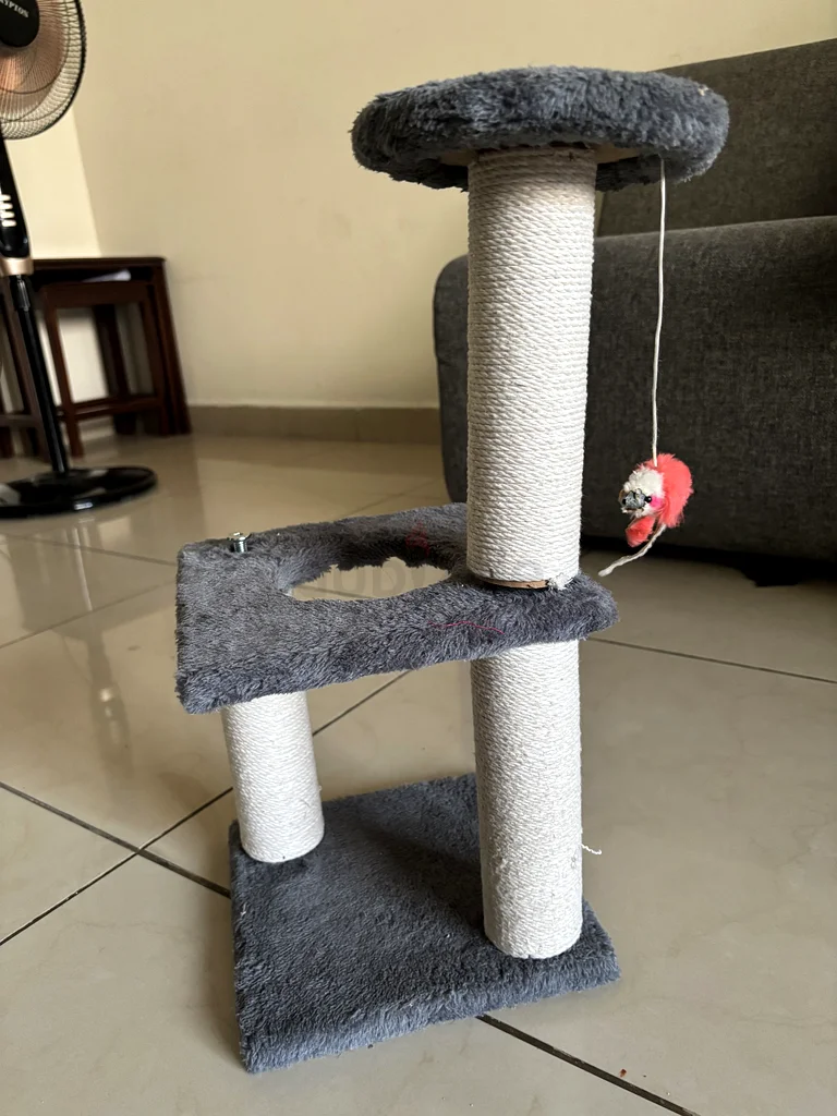 برج القطط63234136184323112