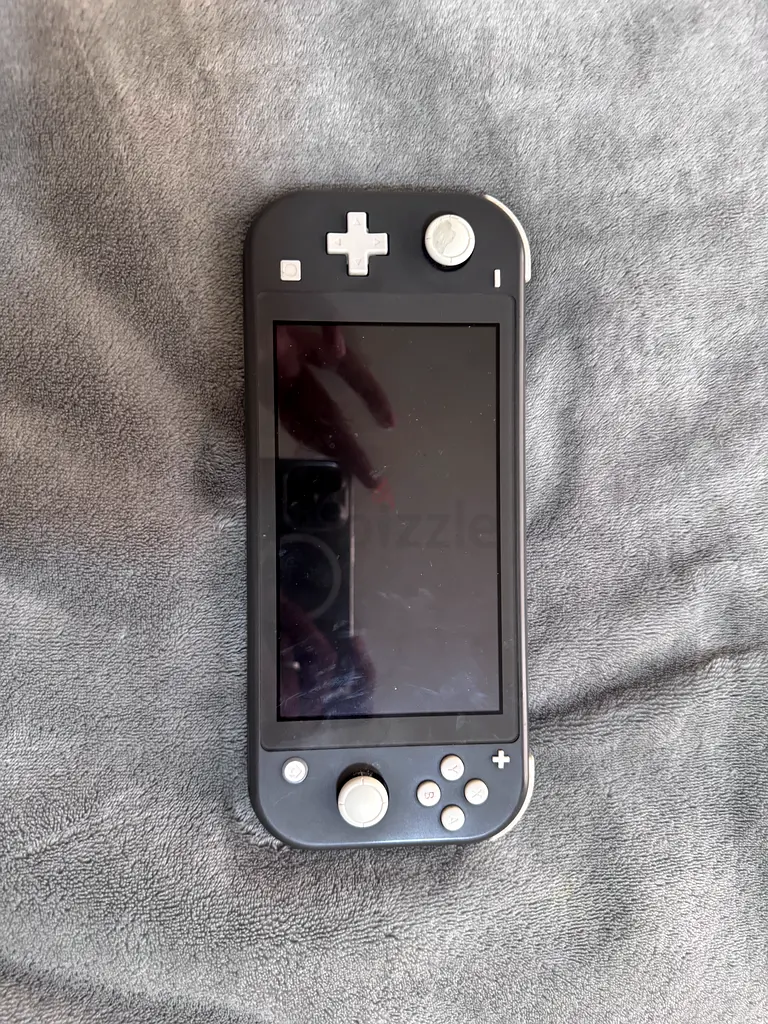 Nintendo switch lite