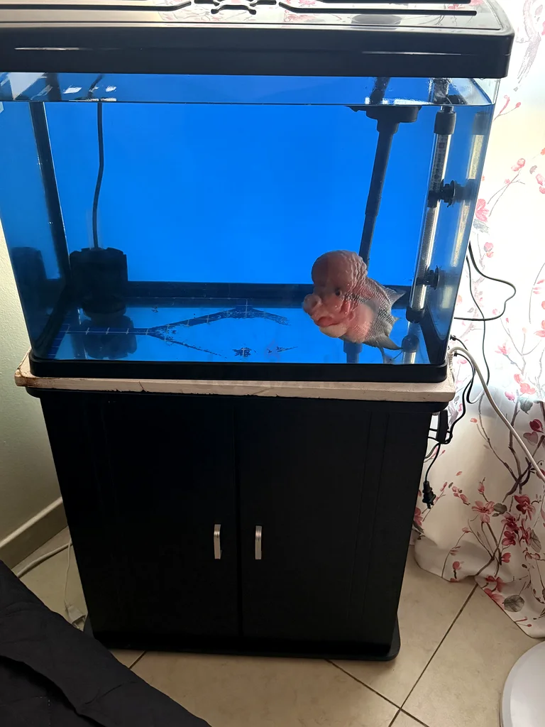 60cm Storage Cabinet with Aquarium Stand . Fish not included63235601031170112