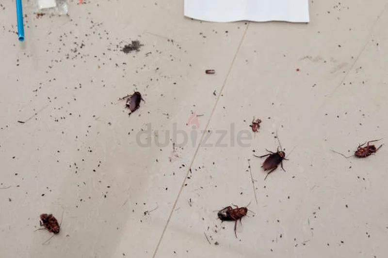 Keep pest out of your business63440539869442113