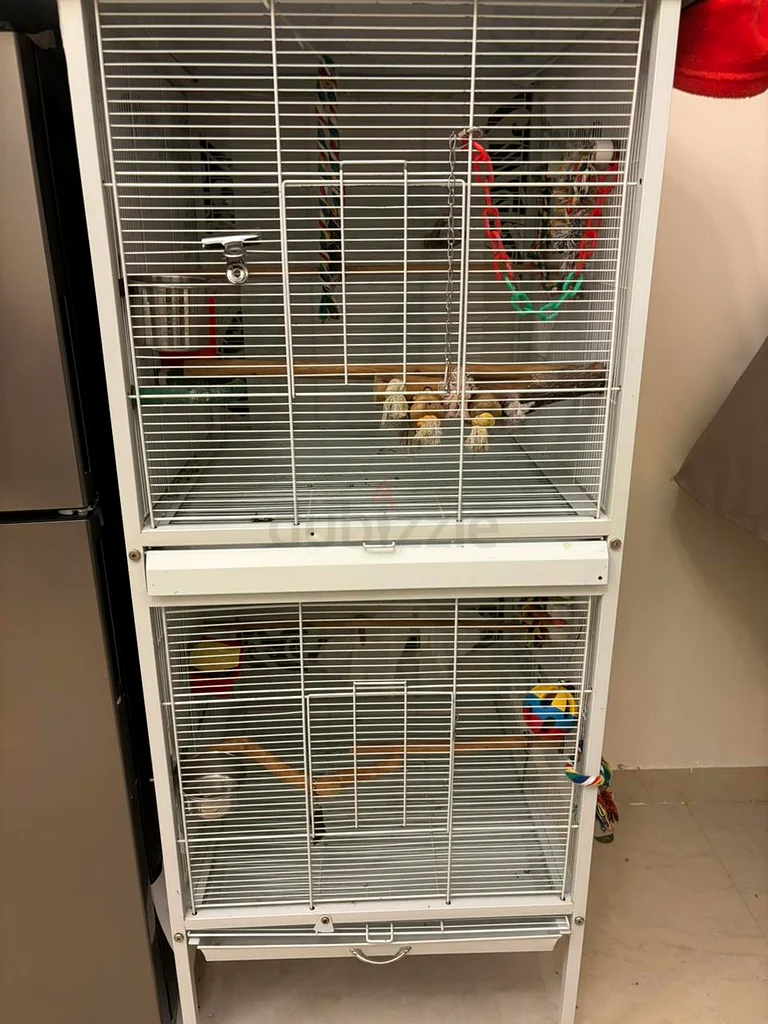 Double bird cage with center divider roof top63233642946049114