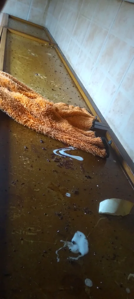 تنظيف عميق63438636745475113