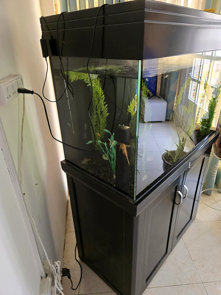 Aqua One Black Fish Tank for Sale63174798065155112