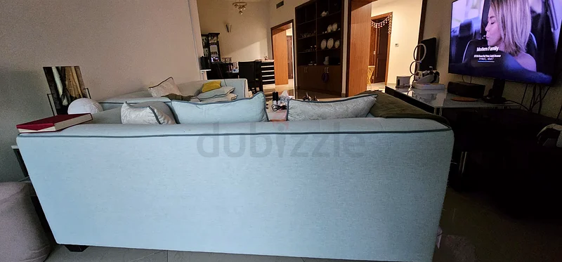 الأناقة العصرية: أريكة رمادية فاتحة/خضراء أنيقة للبيع63191607789443111