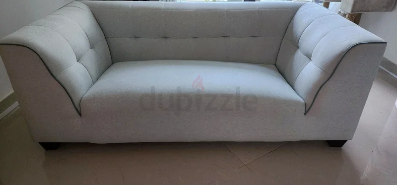 الأناقة العصرية: أريكة رمادية فاتحة/خضراء أنيقة للبيع63191607789443113