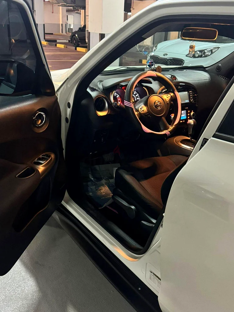 Nissan Juke clean63227779505922114