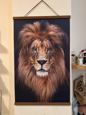 Lion picture frame from ace hardware
