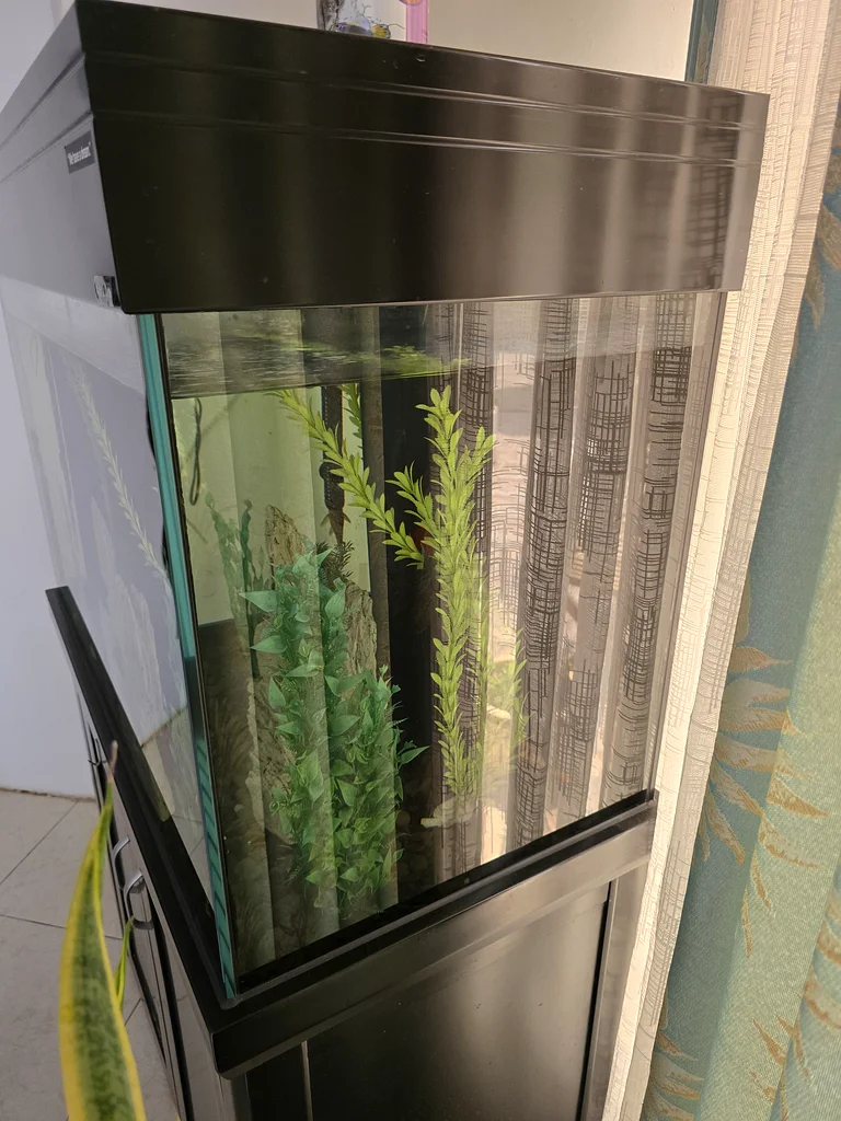 Aqua One Black Fish Tank for Sale63174798065155113