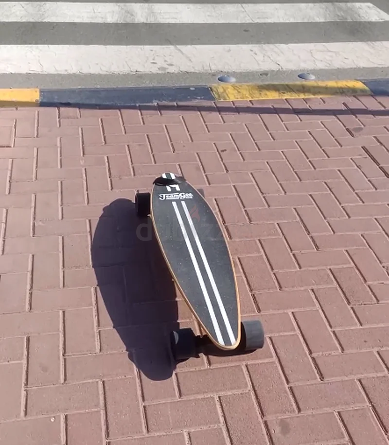 Electric Skateboard - Teamgee H663169934149251113