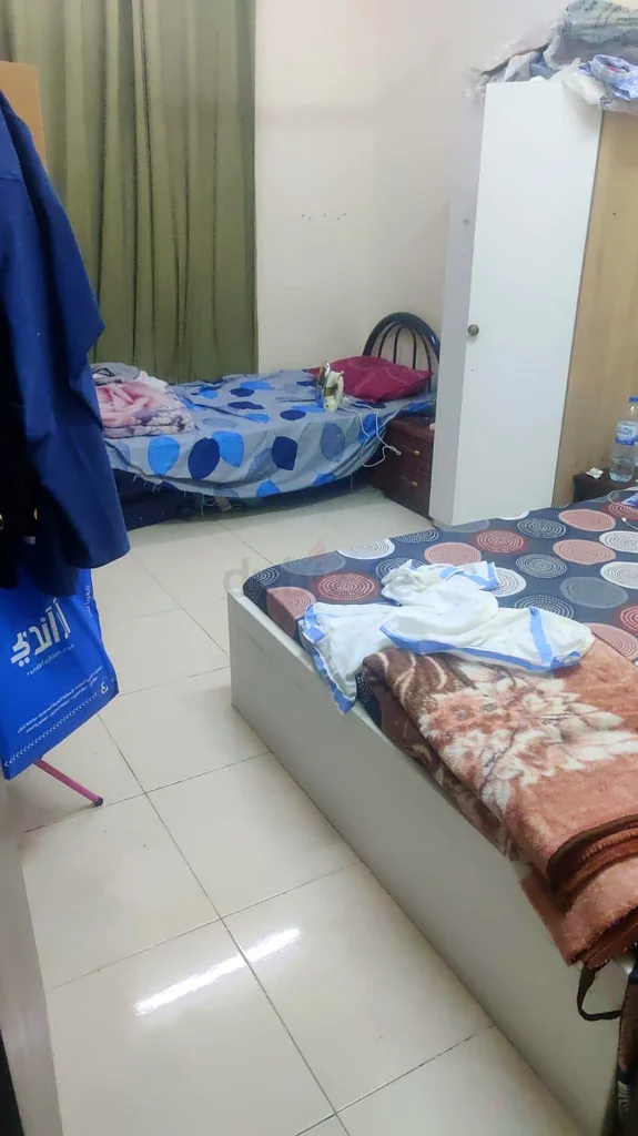 one bhk f sharing with executive bachelor63143496159234112