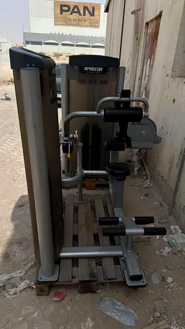 For Sale: Precor Abdominal / Back Extension Dual Machine