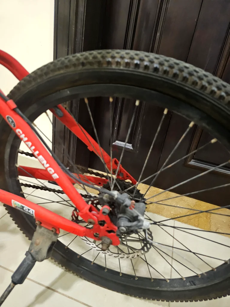 Bicycle63198631051650112