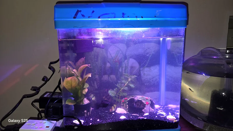 Beautiful Aquarium with Light Setup632321600625941117