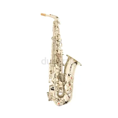 Heinrich GSW-01 Alto Saxophone with Case - Silver