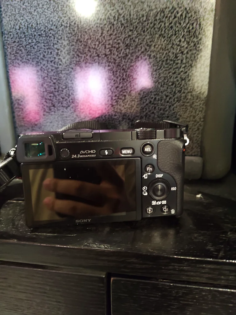 Sony Alpha a6000 low shutter count63172221393923113