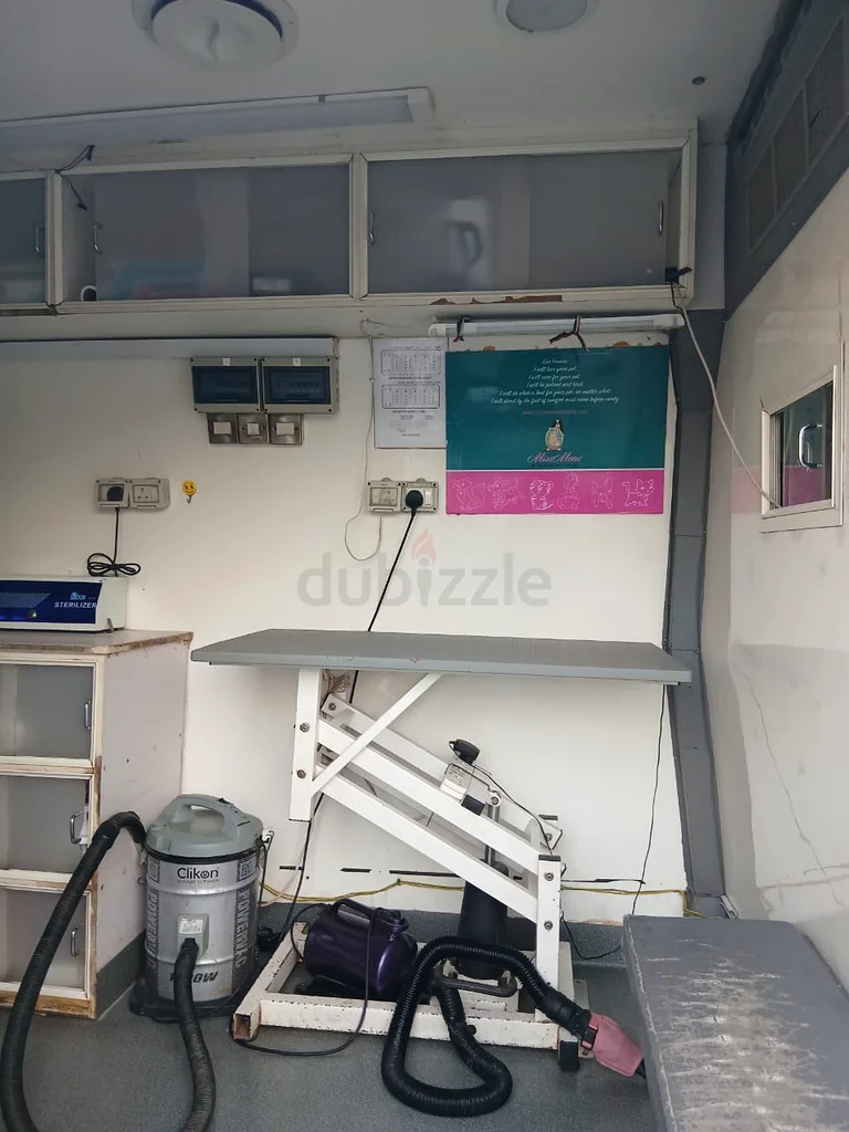 Dubai63154166575234114