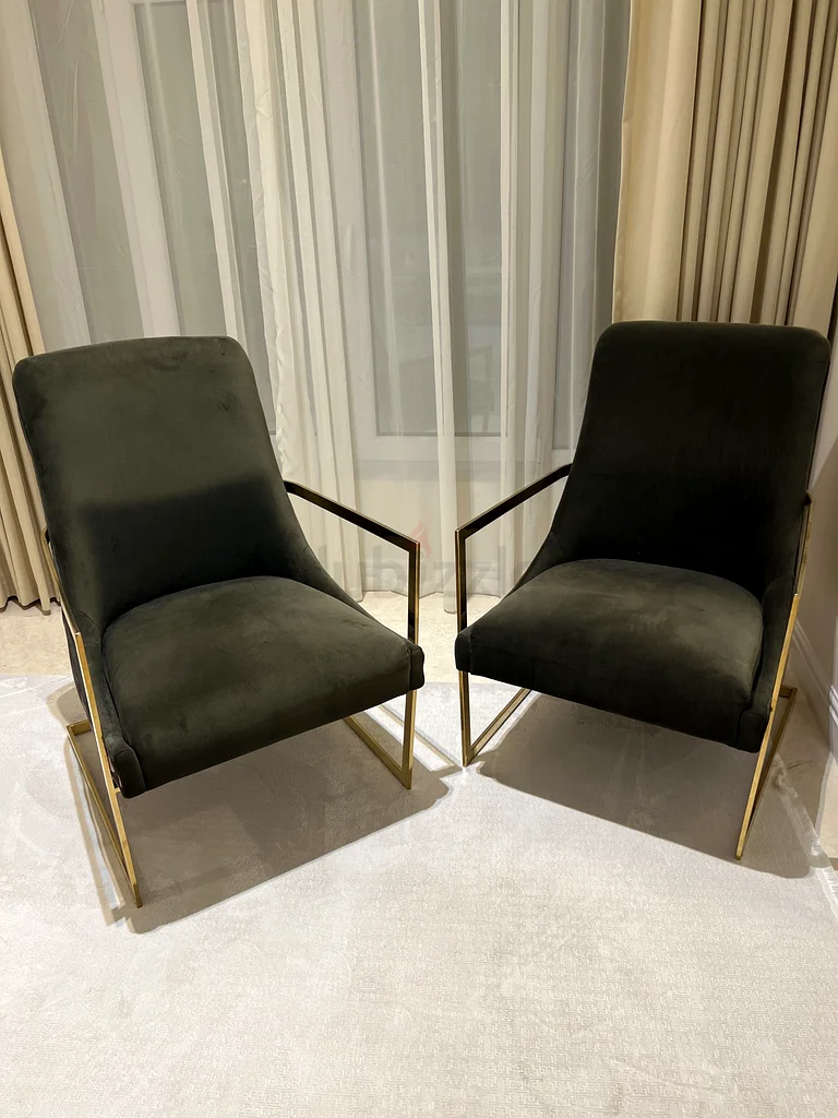 2 pcs Elegant Floral Accent Chairs with Gold Frame63216350961537111