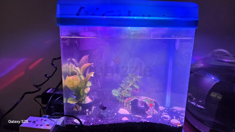 Beautiful Aquarium with Light Setup63232160062594111