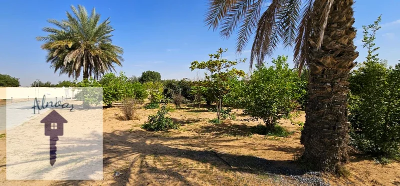 🌟 Luxurious Farmhouse for Sale in  Sharjah |🌟63184213377795113