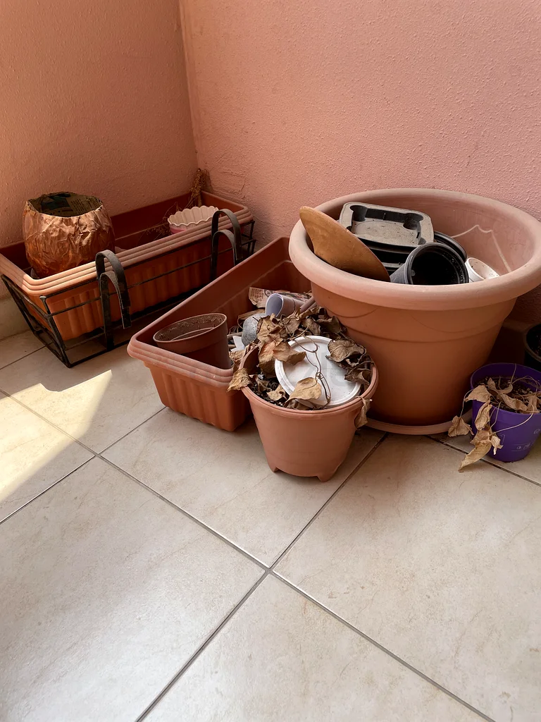 Plant pot for sale63220322980097110