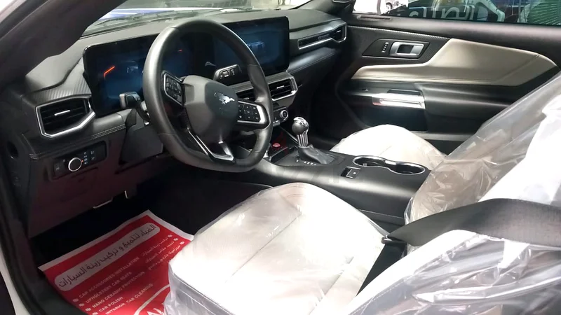 Ford Mustang EcoBoost 202463157444144258114