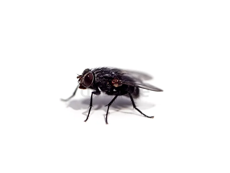 نحن هنا للتخلص من خوفك63219834596098111