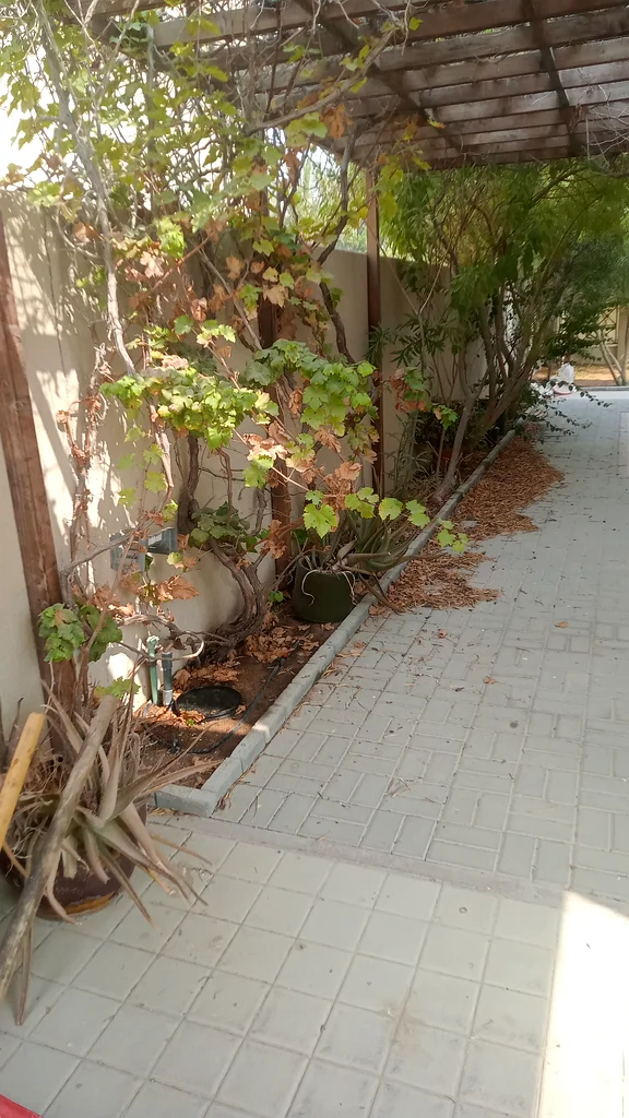 أعمال تجميل المساحات الخارجية حديقة الفناء63191112709635111