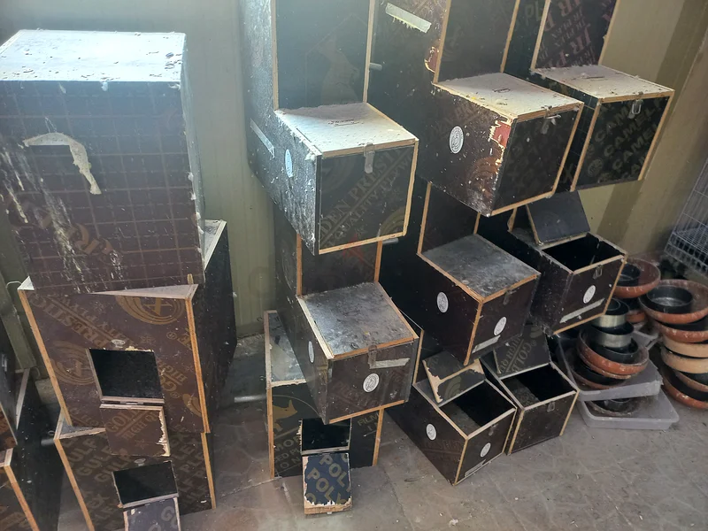 Breeding Boxes Wooden Whitewares63234135468802111