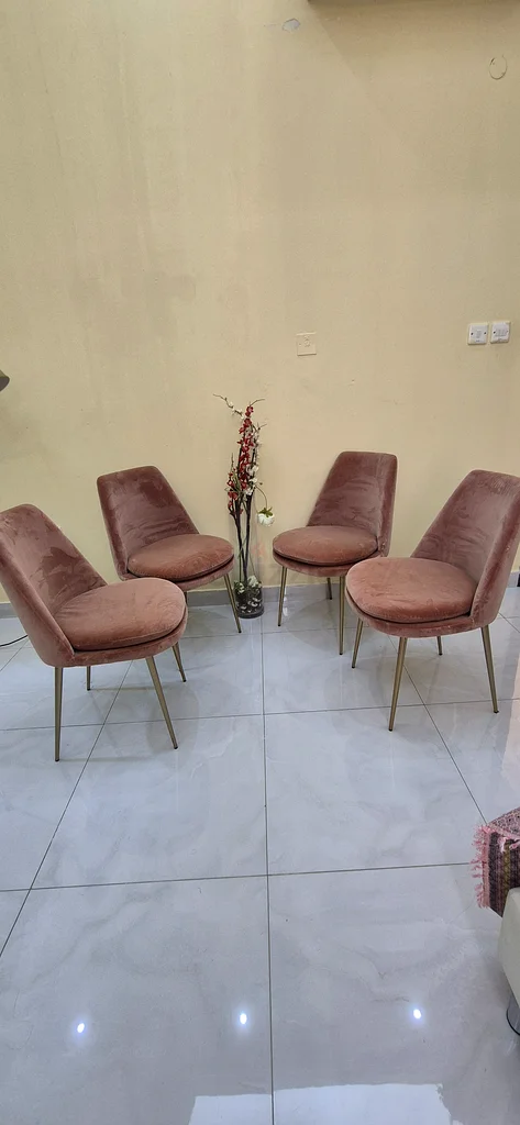 كراسي طعام من ويست الم632198294291221110