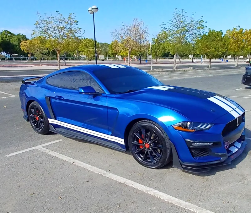 Ford Mustang 201763157444238082113