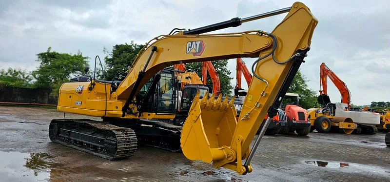 In Dubai Dubizzle Cats Dubizzle Pets 2025 - Main Image