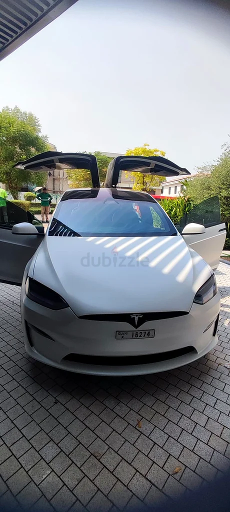 TESLA MODEL X63158342871170112