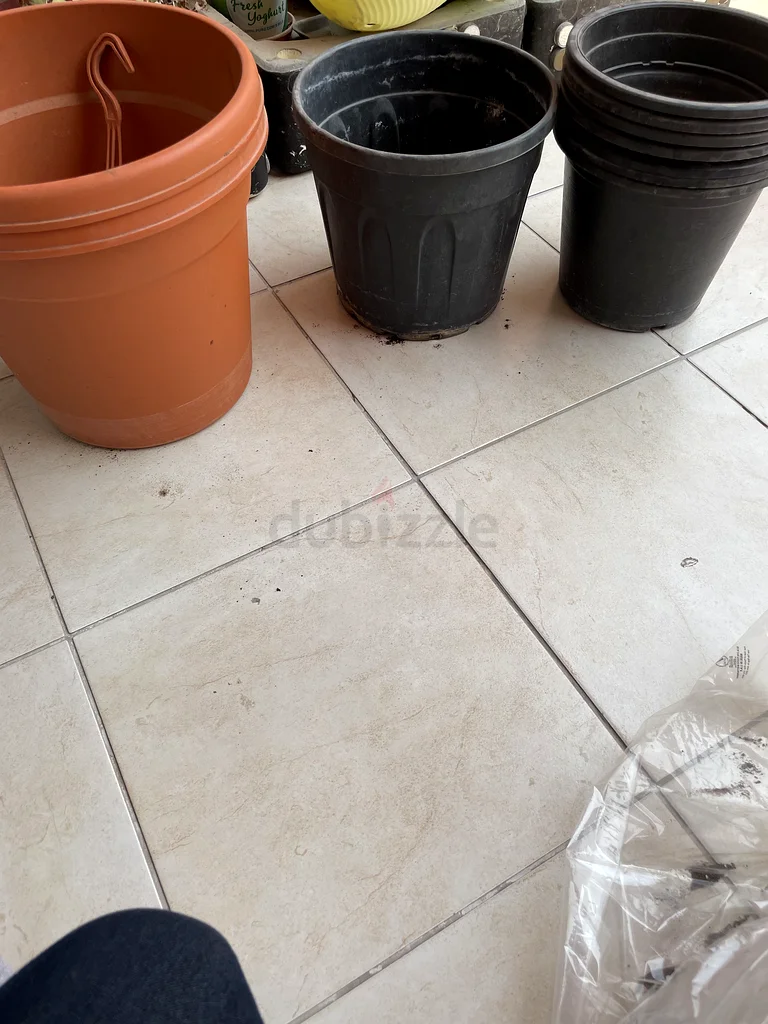 Plant pot for sale63220322980097111