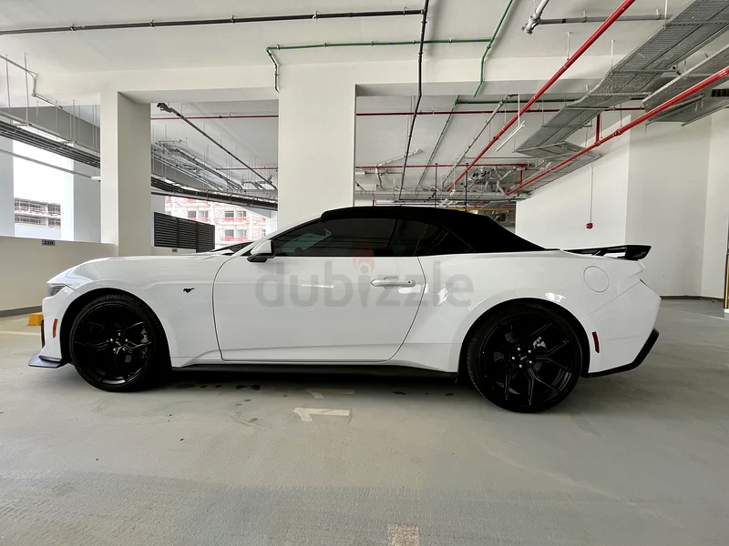 Ford Mustang EcoBoost 202463157444144258111