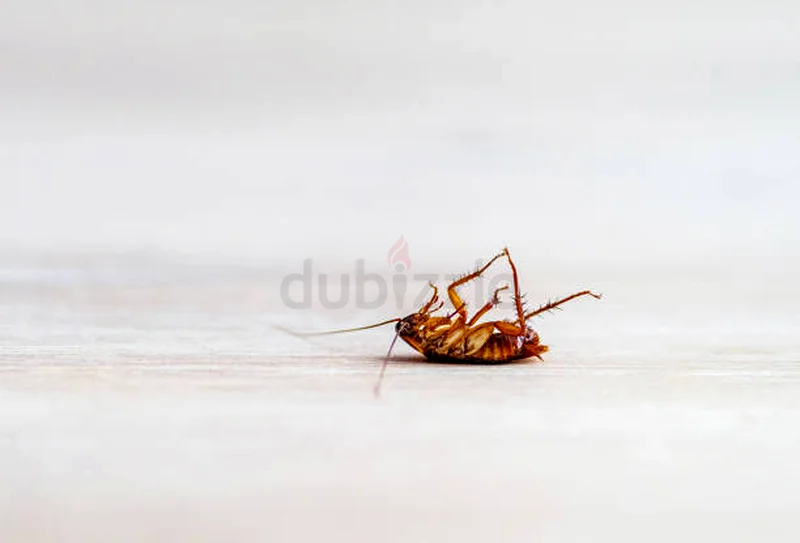 Your defense against all pest63440511251457112
